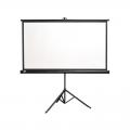 Экран на штативе Classic Crux (16:9) 210x124 (T 203x114/9 MW-S0/B)