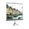Экран на штативе Classic  Libra 200x200 (T 200x200/1 MW-LS/B)